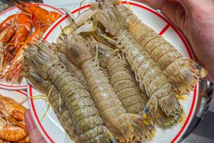 Niuzaixiansheng-chihuomatou