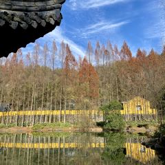 朝阳早餐店 User Photo