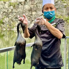 邑家人·山水四合院 User Photo