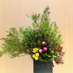 High·Yun jian By Light&Salt (Former Bund Center Branch) User Photo
