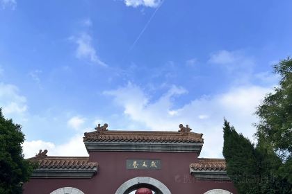 Panji Braised Pork In Brown Sauce