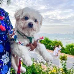 City Coffee Pattaya張用戶圖片