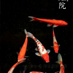 鲤院·新中式美学·庭院餐厅(夫子庙店) 여행 사진