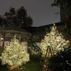 Cooperland User Photo