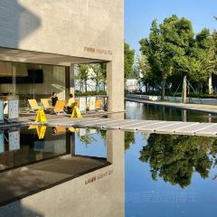 Seeing Tea User Photo