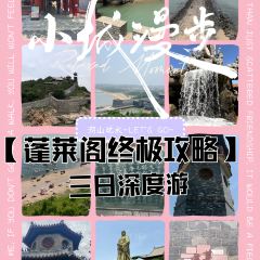 王福祿蓬萊小麵張用戶圖片