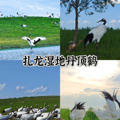 馬曉馬佳牛羊肉張用戶圖片