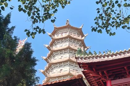 王记老字号糖水(宁江路店)