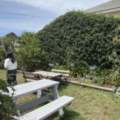 Czegs' Cafe 여행 사진