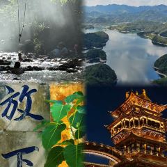 瑶氏醋炒鸡(万达店) User Photo