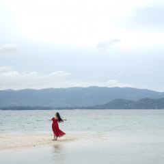 Sabienglae lamai張用戶圖片