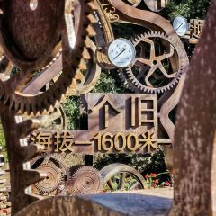 南湖香麒园 User Photo