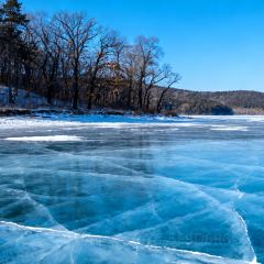 MAJIA RESTAURANT 여행 사진