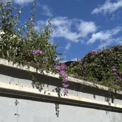 瑞丽活螃蟹(芒市店) User Photo