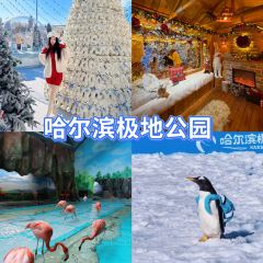 LIULUOGUO User Photo