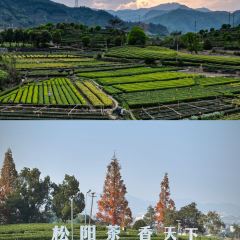 九号咖啡 여행 사진