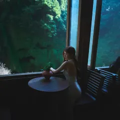 翁布悬崖瀑布咖啡 User Photo