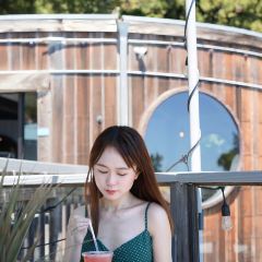 Big Sur Coast Gallery & Cafe User Photo
