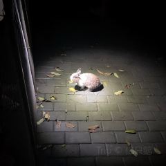 天后宫颜十五酸粉店(南街店) User Photo