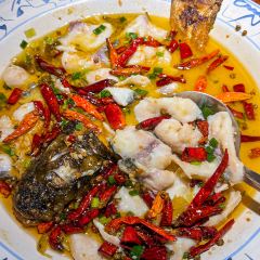 DongDong Mutton Guan User Photo
