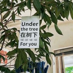 Masu屿见咖啡 User Photo