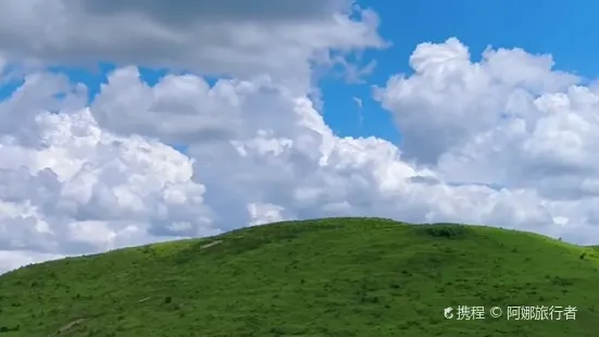 八力草原綠色羊肉館