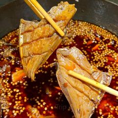 七里田·重庆鱼蛙火锅(凯德广场店) User Photo