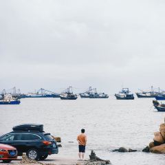 海边有棵树 여행 사진