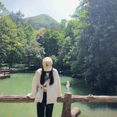 404Brunch&Bistro User Photo