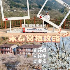 金莲葱饼店 User Photo