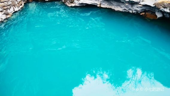 Peach Blossom Jellyfish First Skylight