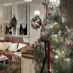 Cooperland User Photo