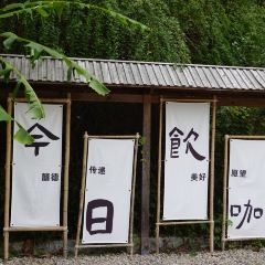 SEED COFFEE User Photo