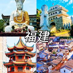 公园和尚豆干面 User Photo