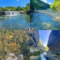 細毛蒸蝦張用戶圖片