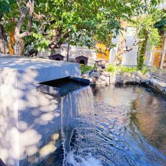 Cat's Home Fish Restaurant・Reservoir Fish Theme Restaurant (Yunshui Huaxi Branch) User Photo