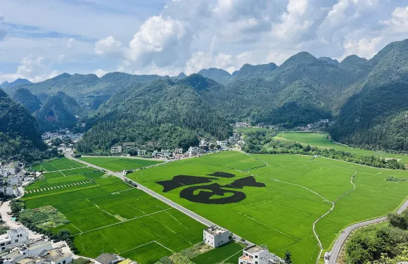 知味柴火雞