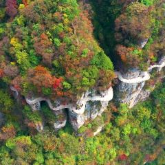 胡氏銀河鮮魚莊（蓮湖路店）張用戶圖片