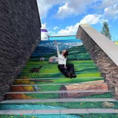 阿勒泰的角落(旅行书吧) User Photo