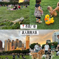 Chin Chih Yuan (Central) User Photo