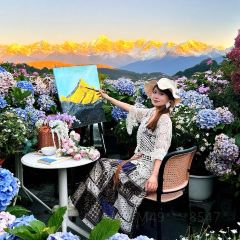 屋頂咖啡·日落甜茶·雪山花園 ·bistro張用戶圖片