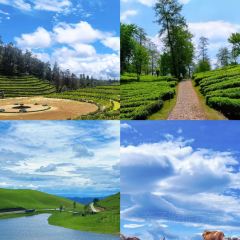 Cun Da Guan User Photo