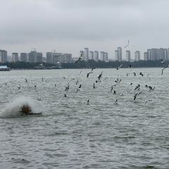 CHEN NIANG NIANG User Photo