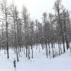 韩嫂农家院 User Photo