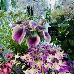 Aoyama Flower Market Green House User Photo