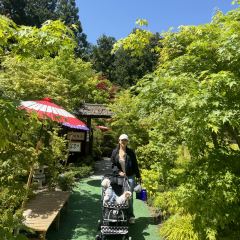 Kawaguchiko Shizen Seikatsukan User Photo