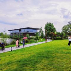 云里小坐·海泉湾·团建·聚会·下午茶(金堂海泉湾店) User Photo