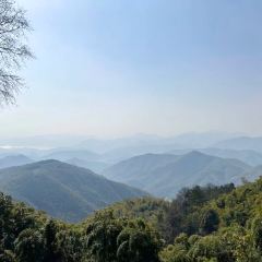 荒室·WildHouse·萬綠莫干山張用戶圖片
