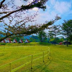 岭澜食尚 User Photo