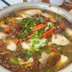 Ruyisuancai Fish User Photo